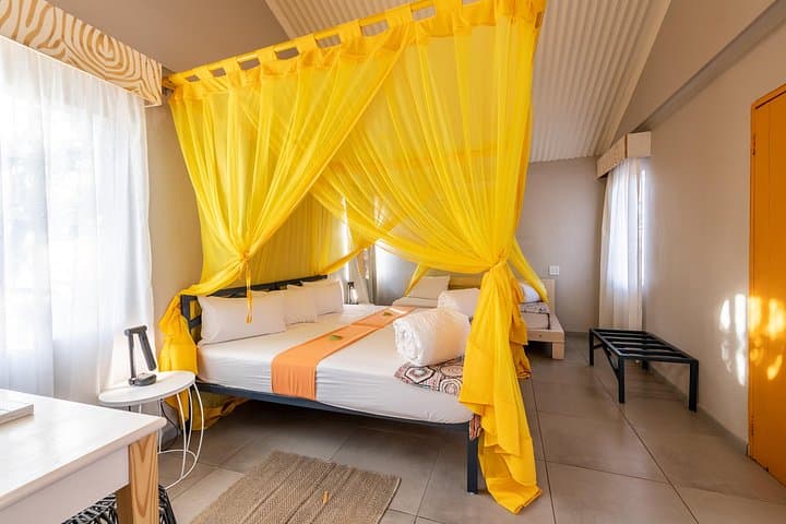 3-Day Etosha Safari from Windhoek — Etosha Safari Camp Wildlife Experience photo 3