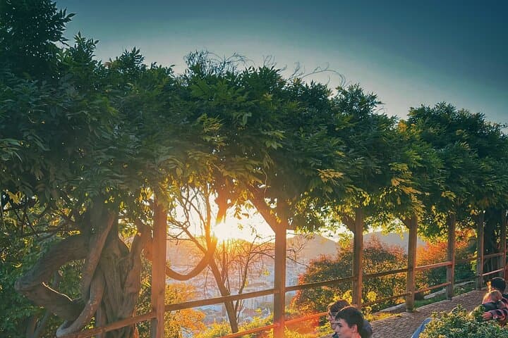Schlossberg Picnic and Funicular Ride — Graz Hilltop Experience photo 6