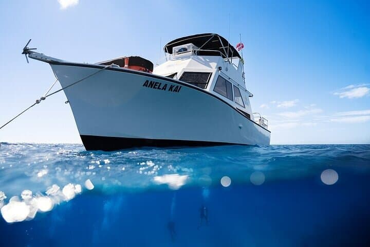 Kauai Exclusive Morning Scuba Charter: Advanced South Shore Dives photo 3