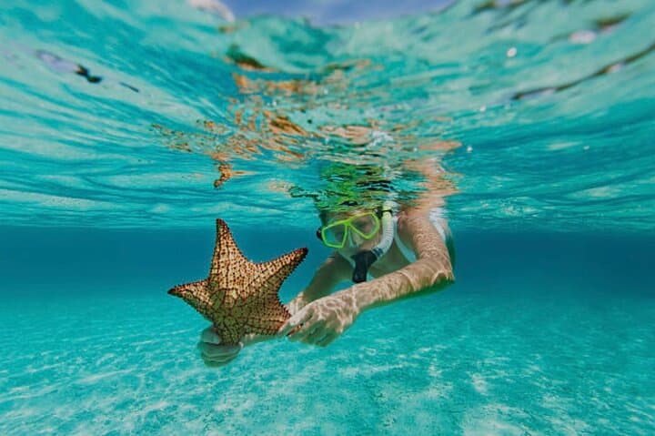 Roatán Zipline, Snorkeling & West Bay Beach Day Trip photo 4