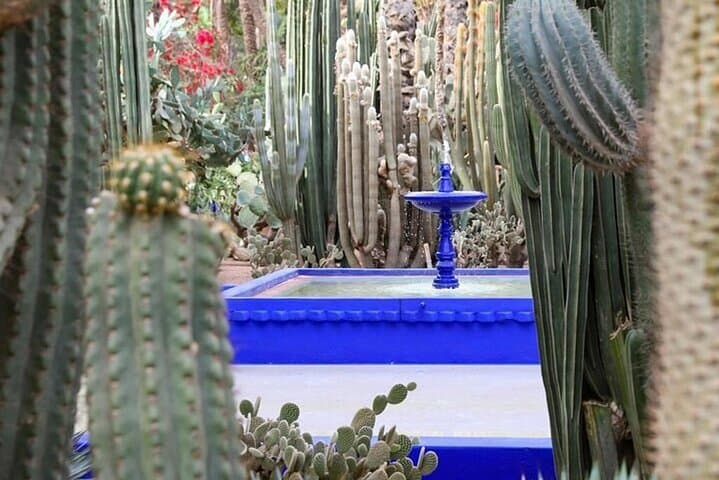 Majorelle Garden & Palmeraie Camel Ride — Marrakech Day Tour photo 2