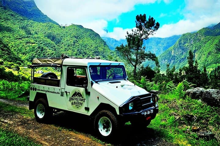 Full-Day Private Tour of Madeira: Laurissilva, Cabo Girão & Porto Moniz photo 2
