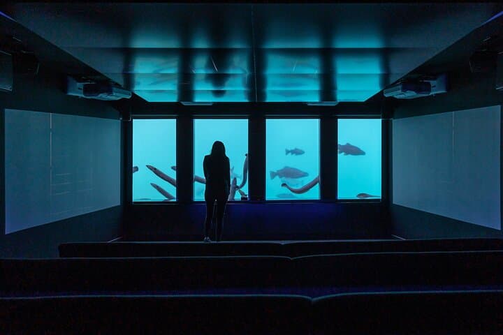 Time Tripper Queenstown: Underwater Observatory Show at Lake Wakatipu photo 6