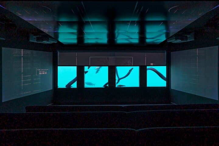 Time Tripper Queenstown: Underwater Observatory Show at Lake Wakatipu photo 4