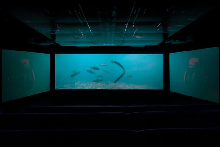 Time Tripper Queenstown: Underwater Observatory Show at Lake Wakatipu photo 3