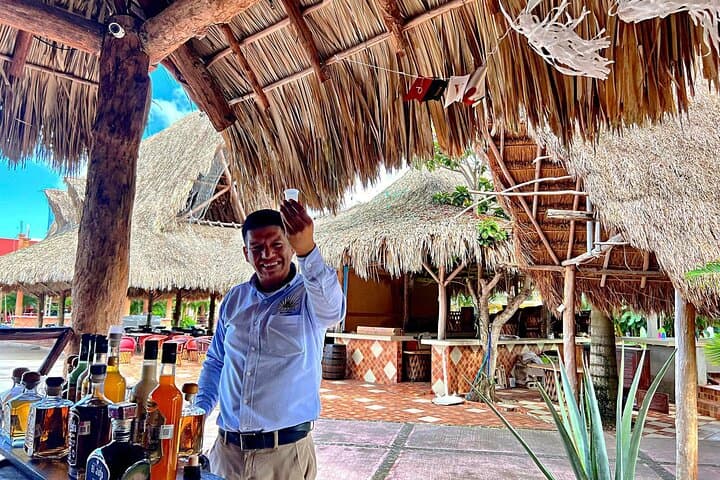 Cozumel Island Tour: Mayan Show, Tequila Tasting & Chulas Beach Break photo 3