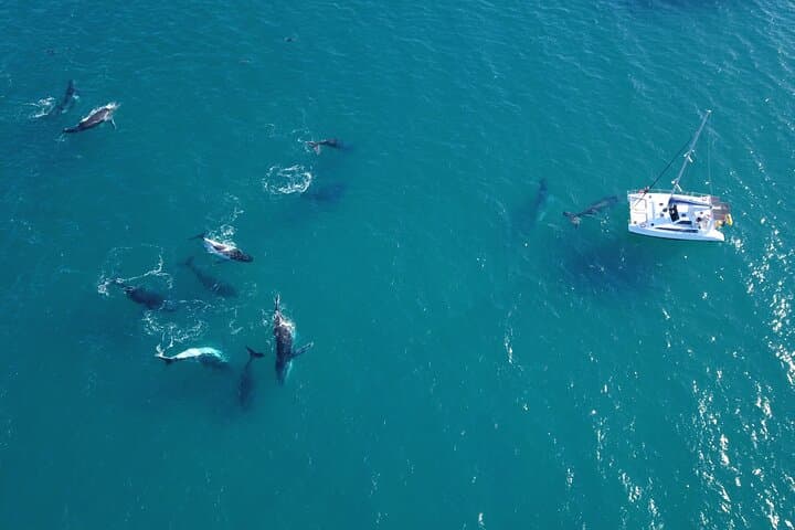 Private Overnight Skippered Humpback Whale-Watching Charter from Hervey Bay photo 2