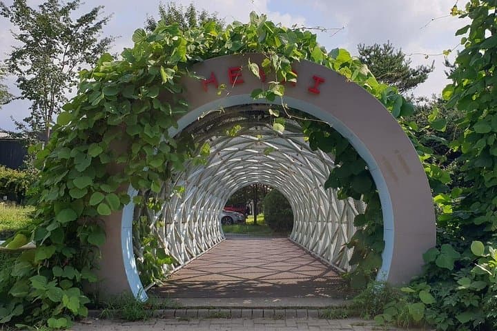 Heyri Art Valley Walking Tour and Musical Instrument Workshop in Paju photo 2