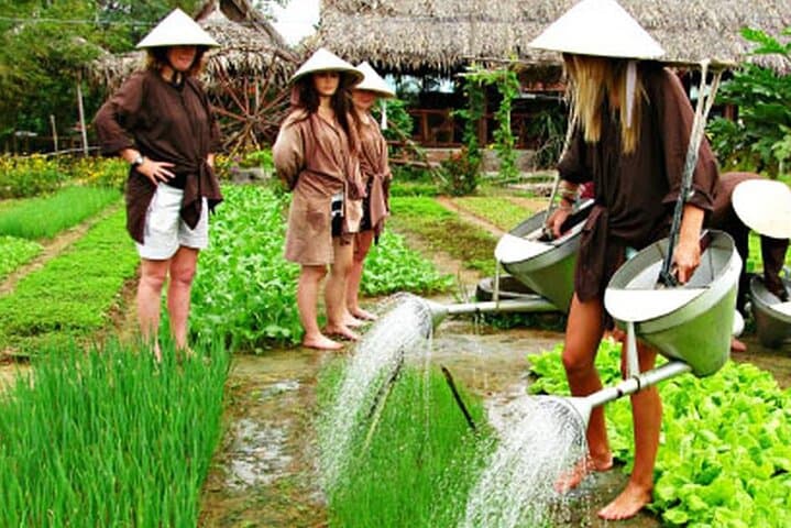 Hoi An Adventure: Tra Que Village Bike Ride and Cooking Class photo 3