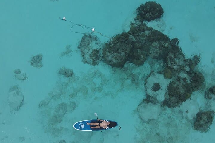 Phi Phi Speedboat Island Hopping: Bamboo Island, Maya Bay & Pileh Lagoon Day Trip photo 4