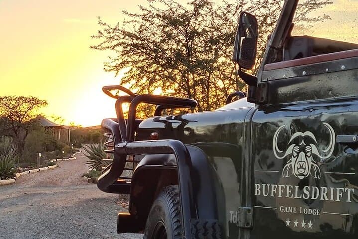 Karoo Bush Safari: 2-Hour Game Drive with Swartberg Views