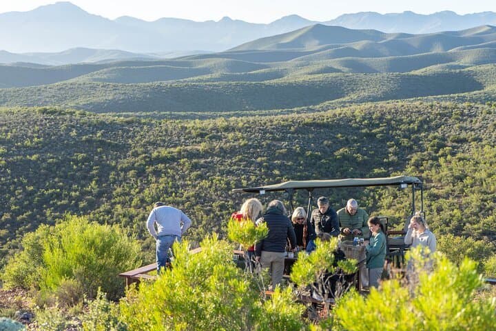 Karoo Bush Safari: 2-Hour Game Drive with Swartberg Views photo 3