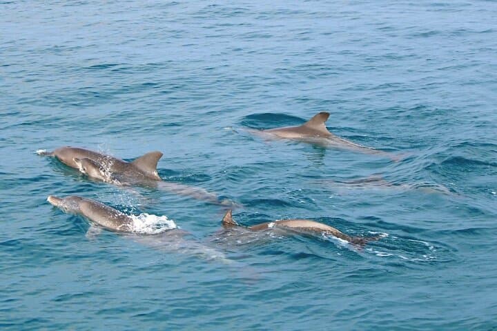 Raya Noi, Raya Yai & Maiton Speedboat Day Trip from Phuket photo 2