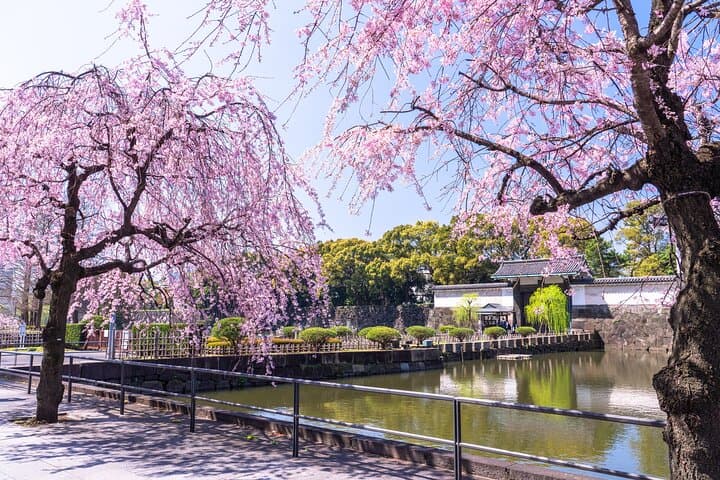 Strolling Edo Castle: East Garden Walking Tour at the Imperial Palace, Tokyo photo 4