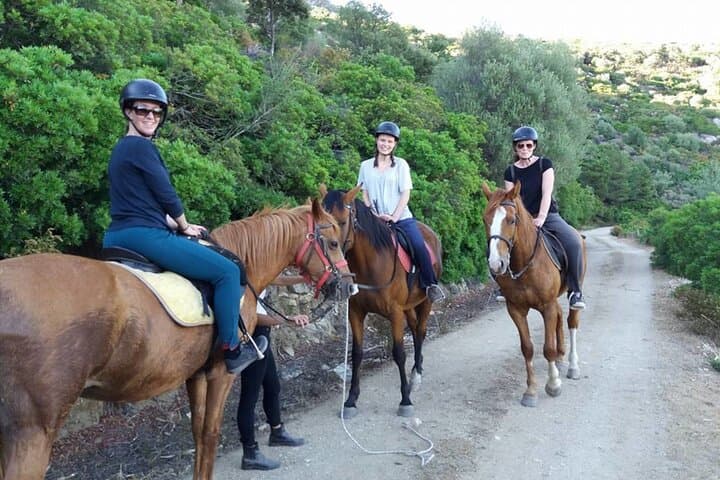 Horseback Riding to Mount Pontesu: Orosei & Irgoli Trails in Baronia, Sardinia photo 2