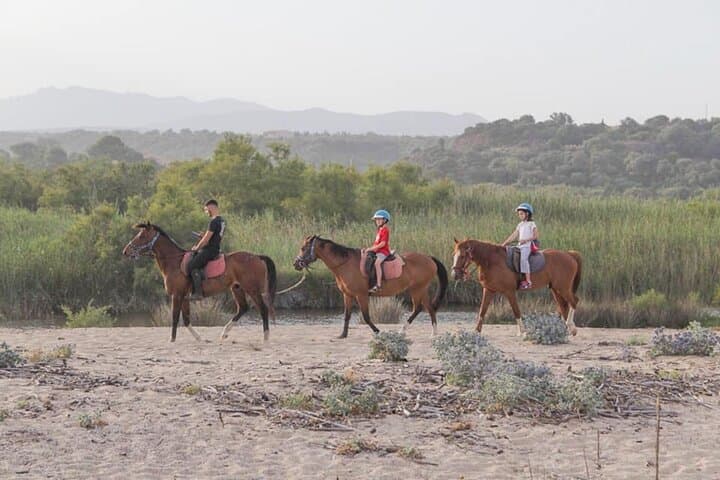 Horseback Riding to Mount Pontesu: Orosei & Irgoli Trails in Baronia, Sardinia