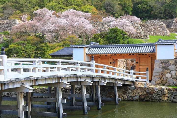 Strolling Edo Castle: East Garden Walking Tour at the Imperial Palace, Tokyo photo 3