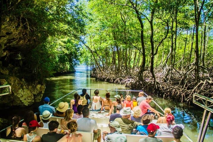 Exploring Los Haitises, Yanigua Waterfall & Montaña Redonda: Full-Day Punta Cana Adventure