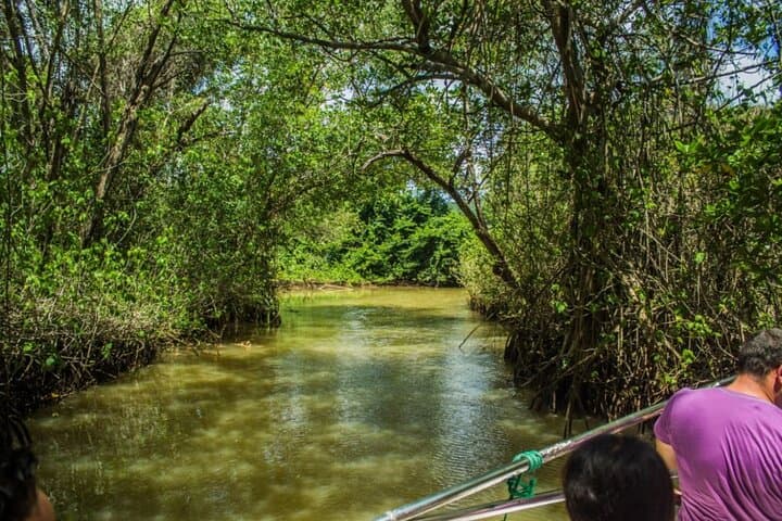 Exploring Los Haitises, Yanigua Waterfall & Montaña Redonda: Full-Day Punta Cana Adventure photo 2