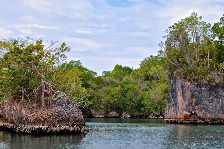 Exploring Los Haitises, Yanigua Waterfall & Montaña Redonda: Full-Day Punta Cana Adventure photo 3