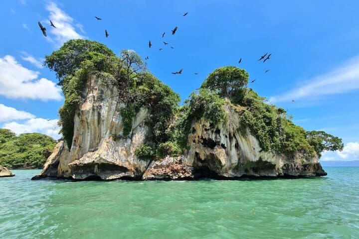Los Haitises Hike and Mangrove Kayak from Punta Cana — Full-Day Rainforest & Birdlife Adventure photo 3