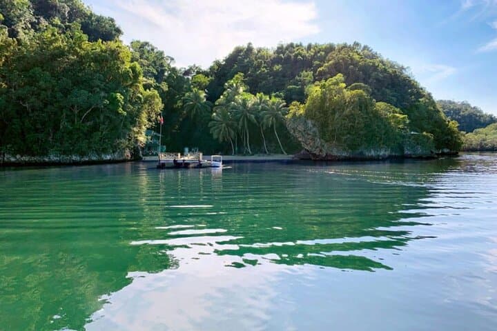 Los Haitises Hike and Mangrove Kayak from Punta Cana — Full-Day Rainforest & Birdlife Adventure photo 5