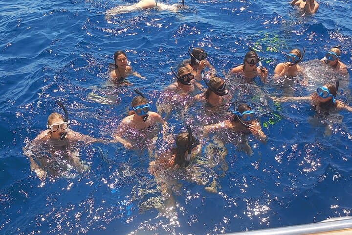 Yellow Semi-Submarine Mini Cruise in Larnaca — Swim at the Zenobia Wreck photo 4