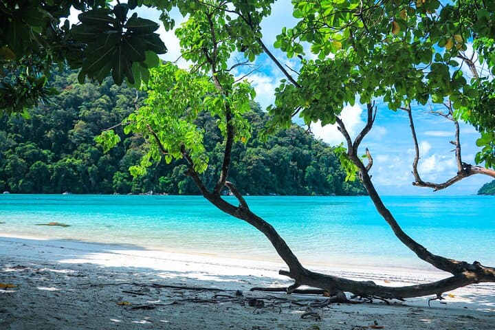 Surin Islands Speedboat Snorkel Tour from Khao Lak photo 5