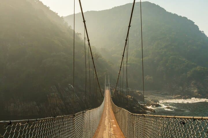Tsitsikamma Private Full-Day Tour: Big Tree, Suspension Bridge & Bloukrans Bungee photo 2