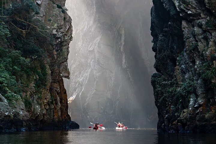 Tsitsikamma Private Full-Day Tour: Big Tree, Suspension Bridge & Bloukrans Bungee photo 5