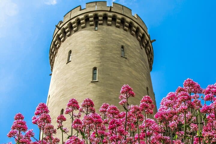 Private Day Trip to Arundel Castle from London — Castle, Gardens & Arundel Town photo 3