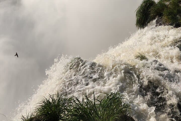 Total Iguassu Tour — Full-Day Iguazu Falls Crossing (Argentina & Brazil) photo 4