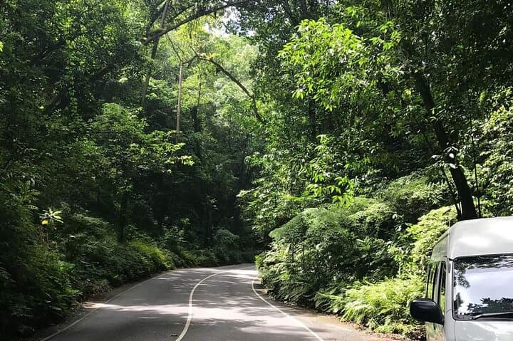 Ocho Rios Day Tour: Dunn's River Falls, Fern Gully & Local Markets photo 2