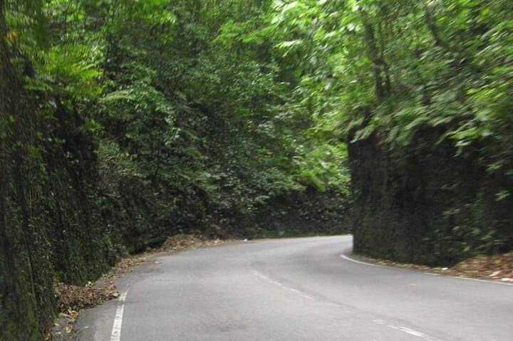 Ocho Rios Day Tour: Dunn's River Falls, Fern Gully & Local Markets photo 5