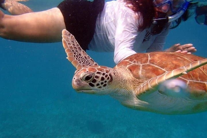 Florida Keys Eco Paddle & Snorkel: Kayak Mangroves to Coral Reef photo 1