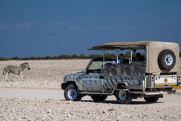 3-Day Etosha Safari from Windhoek: Game Drives, Waterholes & Etosha Pan photo 2
