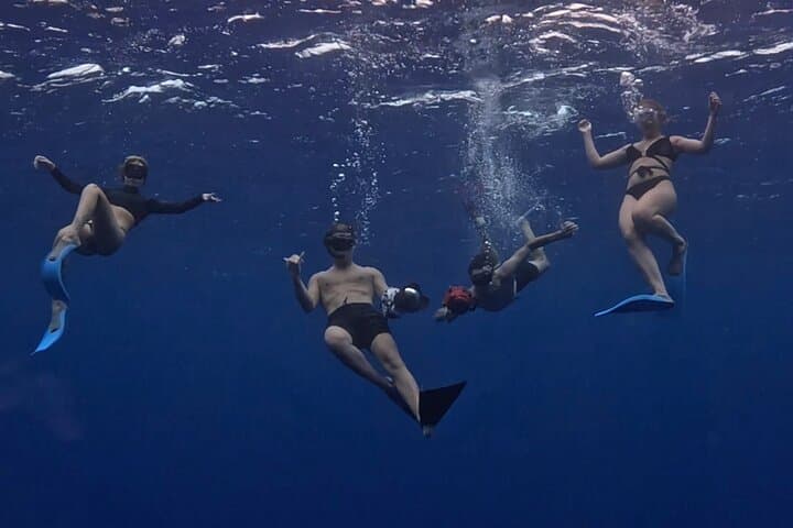 Private Whale Watching Adventure in Mo'orea — Swim with Humpback Whales photo 2