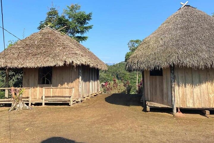 3-Day Amazon Rainforest Immersion from Puyo: Communities, 5 Waterfalls & Night Wildlife photo 5