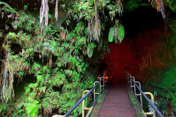 Half-Day Hilo Volcano & Waterfall Tour: Kilauea, Thurston Lava Tube & Punaluʻu photo 6