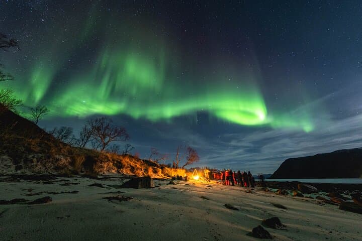 Tromsø Northern Lights Minibus Chase — Free Photos & Warm Arctic Dinner photo 6
