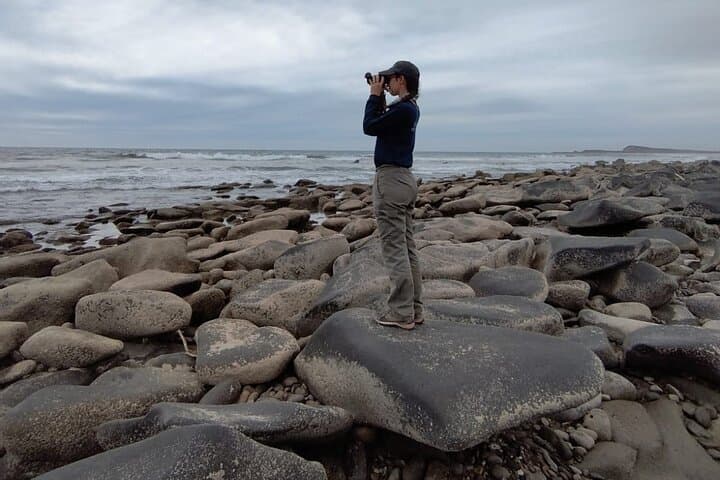Explore Las Labradas: Coastal Petroglyphs and Beach Walk from Mazatlán photo 5