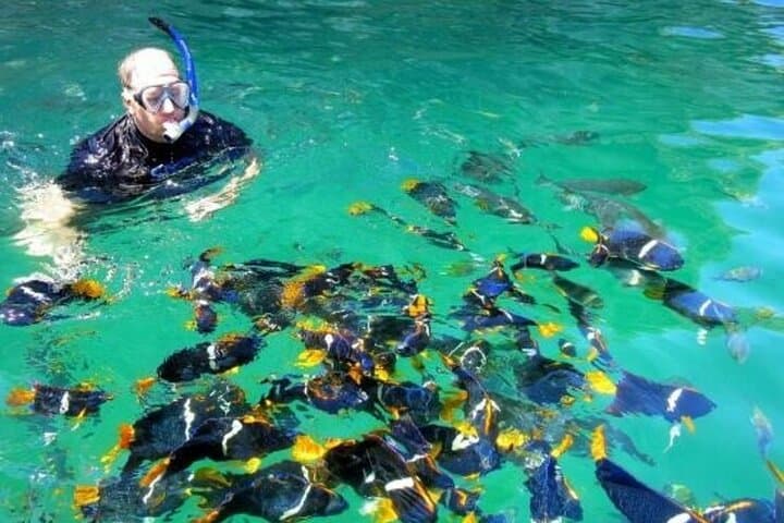 Snorkel Los Arcos & Visit Las Animas or Quimixto: Puerto Vallarta Day Sail photo 4