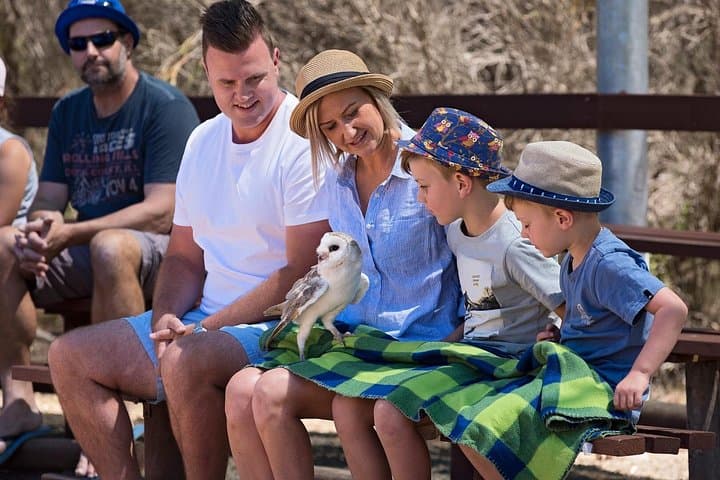 Full-Day Kangaroo Island Sip and See Tour: Wildlife, Wine & Local Producers photo 3