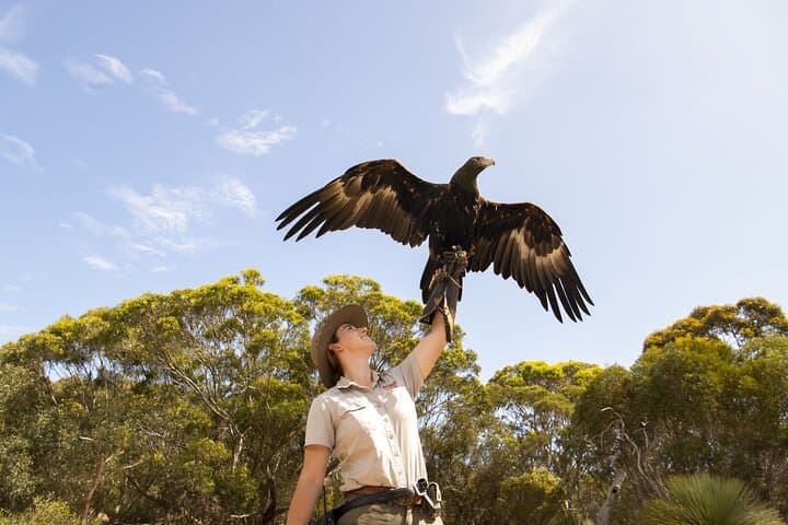 Kangaroo Island Sip & See Day Tour — Ferry from Adelaide to Wildlife, Wineries & Local Producers photo 2