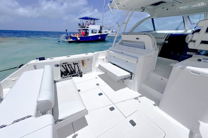 Private Cayman Charters: Stingray City, Coral Gardens Snorkel & Starfish Point photo 6