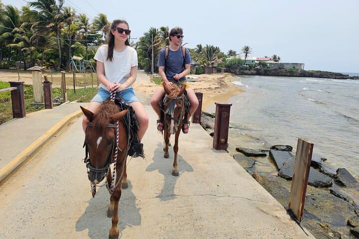 Roatán Zipline, Horseback & Snorkel Combo — West Bay Reef Adventure photo 6