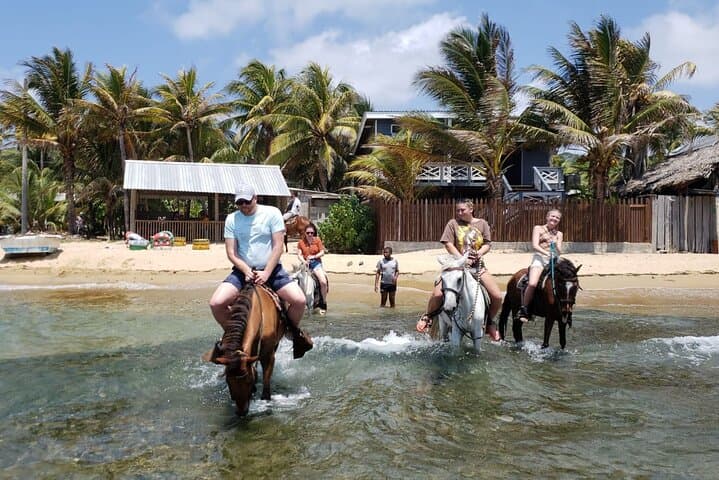 Roatán Zipline, Horseback & Snorkel Combo — West Bay Reef Adventure