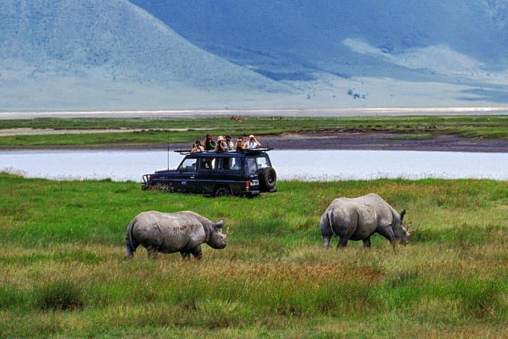 Full-Day Private Ngorongoro Crater Safari from Arusha — See the Big Five in a Day photo 3