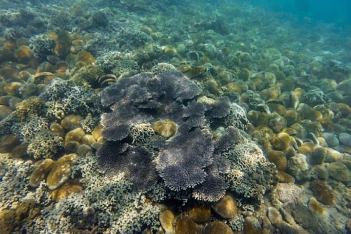 Vinh Hy Bay Snorkeling and Hidden Waterfall Day Trip from Mui Ne photo 4