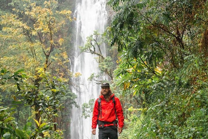 Materuni Waterfalls, Coffee Tour & Kikuletwa Hot Springs — Day Trip from Arusha photo 3